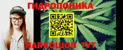 мдма Кингисепп