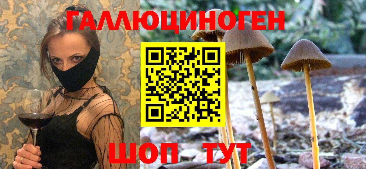 Галлюциногенные грибы GOLDEN TEACHER  Вход с VPN  Галлюциногенные грибы Magic Shrooms  Карталы 